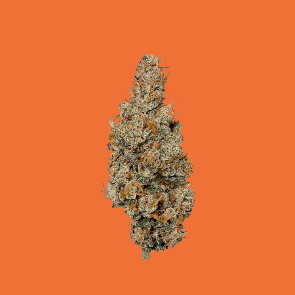 GMO THCA Products
