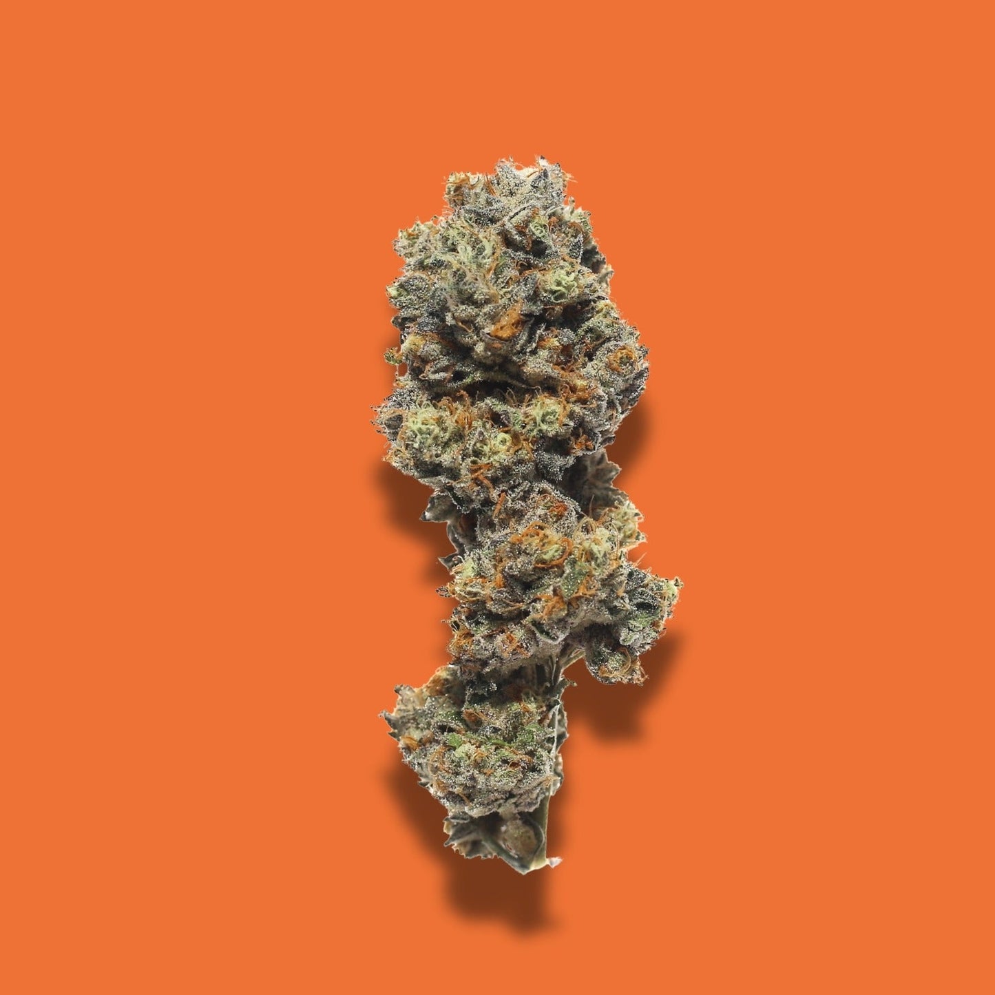 Papaya Gushers THCA Products