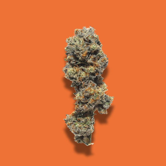 Papaya Gushers THCA Products