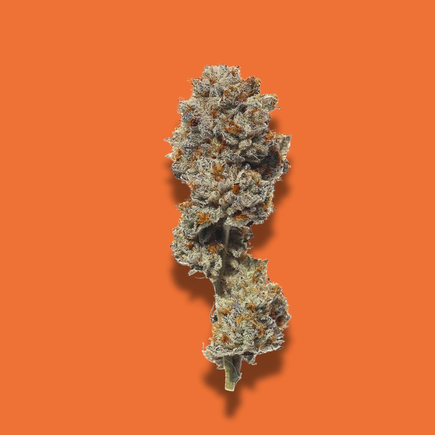 Pure Michigan THCA Products
